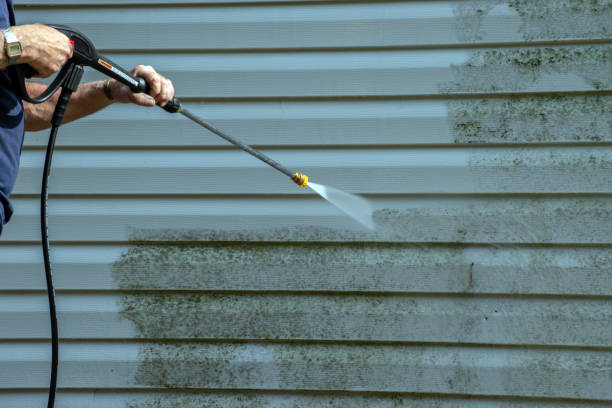 Best Commercial Building Pressure Washing  in Telford, TN