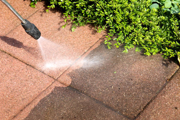 Best Commercial Building Pressure Washing  in Telford, TN